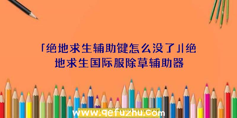 「绝地求生辅助键怎么没了」|绝地求生国际服除草辅助器